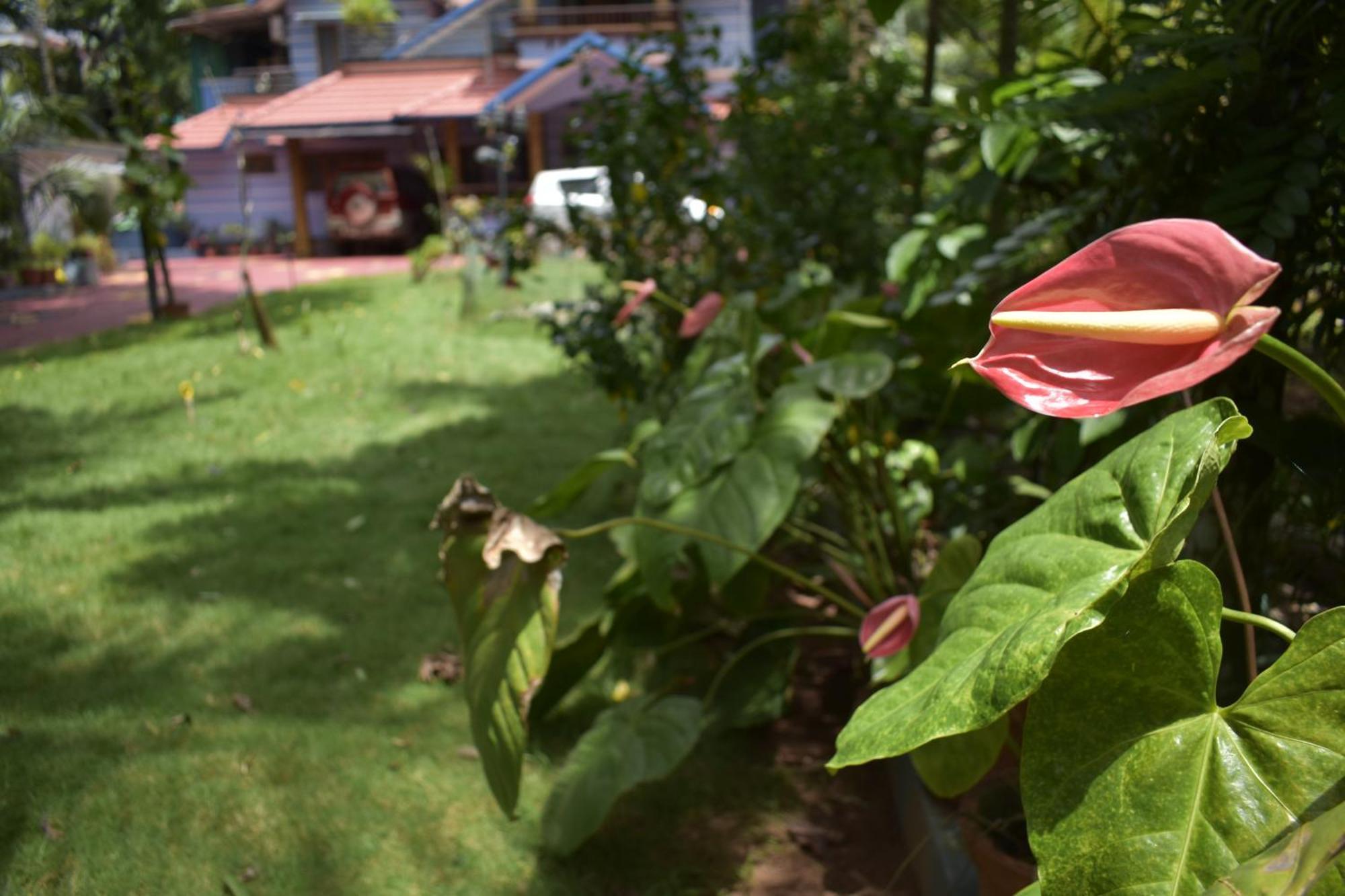 Ben'S Villa Kannur ! מראה חיצוני תמונה